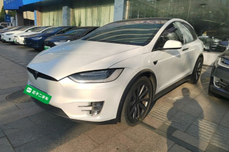 特斯拉 Model X 2019款 标准续航版