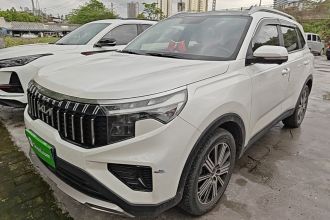 起亚 智跑 2021款 Ace 2.0L 精彩版