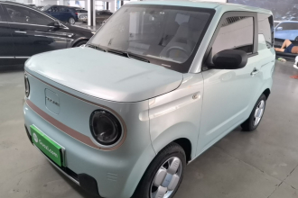 吉利银河 2024款 熊猫mini 200km 耐力熊