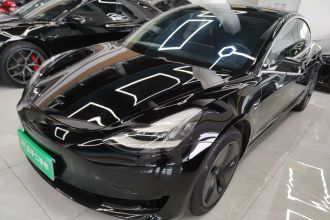 特斯拉 Model 3 2019款 标准续航后驱升级版