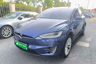 特斯拉 Model X 2019款 长续航版