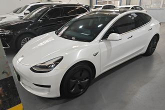 特斯拉 Model 3 2019款 标准续航后驱升级版