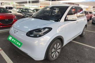 五菱汽车 五菱缤果 2023款 410km 灵犀尊享款