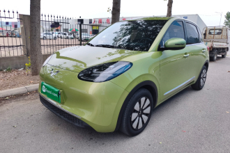 五菱汽车 五菱缤果 2023款 203km 舒享款
