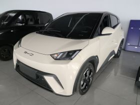 比亚迪 海鸥 2023款 自由版