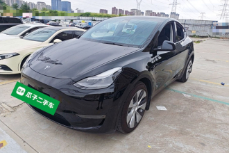 特斯拉 Model Y 2021款 标准续航后驱版