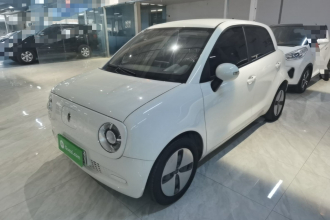 欧拉黑猫 2021款 301km 基础型