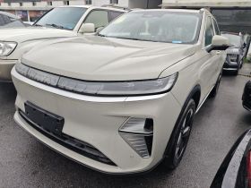 哈弗枭龙MAX 2025款 Hi4 110 Pro