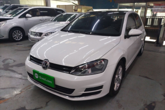 大众 高尔夫 2016款 230TSI 自动舒适型