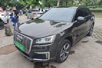 奥迪Q2L e-tron 2019款 Q2L e-tron 纯电智享型