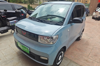 五菱汽车 宏光MINIEV 2022款 轻松款 磷酸铁锂