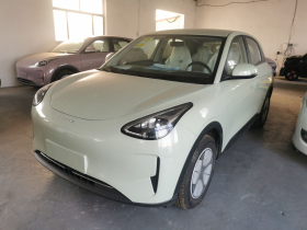 吉利银河 星愿 2025款 310km 青春版