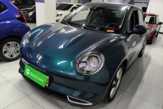 欧拉好猫 2021款 400km标准续航 雅典娜版 磷酸铁锂