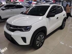 东风纳米EX1 2021款 质灵版