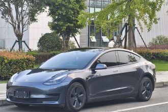 特斯拉 Model 3 2021款 标准续航后驱升级版 3D6