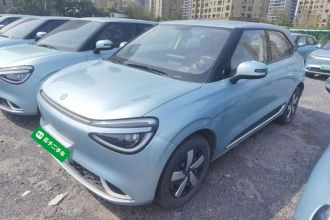 东风纳米 纳米01 2024款 330 Air