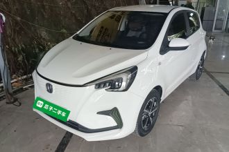 长安 奔奔E-Star 2022款 清心版 多彩款 三元锂