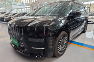 极氪009 2022款 WE版