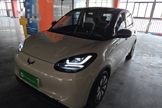 五菱汽车 五菱缤果 2025款 333km 悦享款