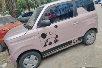 吉利银河 2024款 熊猫mini 200km 耐力熊