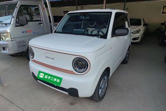 吉利银河 2024款 熊猫mini 200km 耐力熊