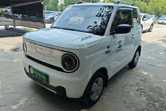 吉利银河 2024款 熊猫mini 200km 耐力熊