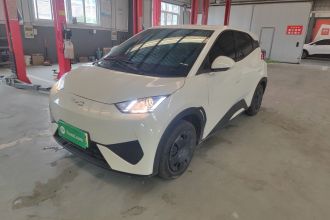 比亚迪 海鸥 2025款 305km 活力版