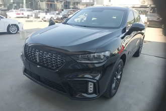 魏牌 VV5 2020款 1.5T 两驱智先锋