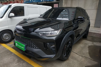 哈弗H6S 2022款 2.0T 两驱智跑版