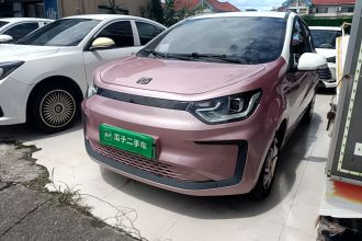 思皓 花仙子 2023款 周年款 301km 满天星 45kW