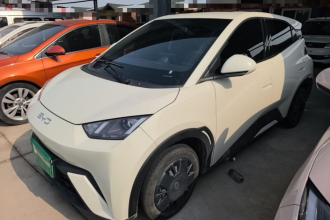 比亚迪 海鸥 2025款 305km 活力版