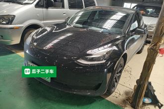 特斯拉 Model 3 2020款 标准续航后驱升级版