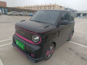 吉利银河 2025款 210km 熊猫卡丁