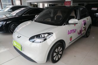 五菱汽车 五菱缤果 2023款 203km 轻享款