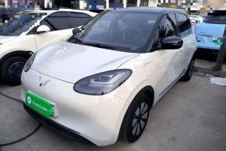 五菱汽车 五菱缤果 2023款 333km 灵犀互联+款