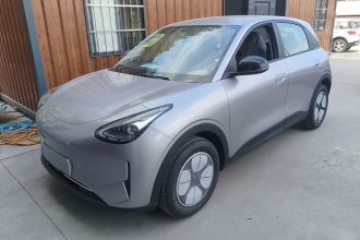 吉利银河 星愿 2026款 310km 向往版
