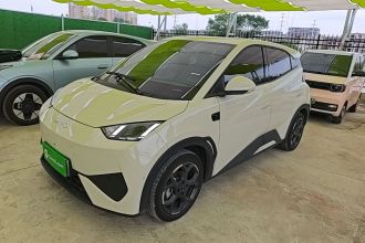 比亚迪 海鸥 2025款 智驾版 305km 自由版