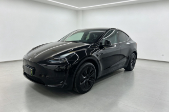 特斯拉 Model Y 2024款 后轮驱动版