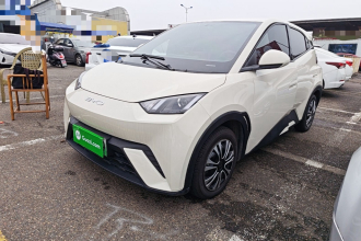 比亚迪 海鸥 2024款 荣耀版 305km 活力版