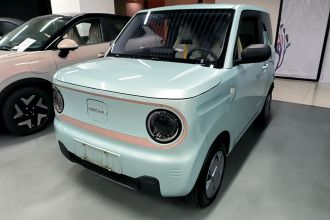 吉利银河 2023款 熊猫mini 200km 耐力熊