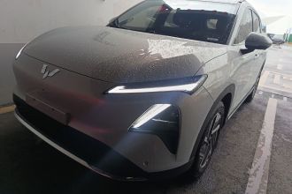 五菱汽车 五菱星光S 2024款 510km 旗舰型