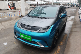 比亚迪 海豚 2021款 401km 骑士版