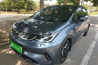 比亚迪 海豚 2025款 智驾版 420km 自由版