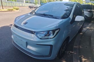 思皓 2022款 花仙子款 四叶草