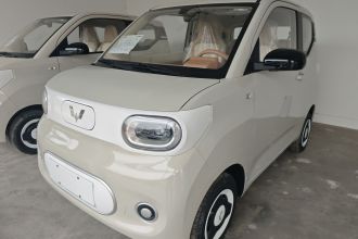 五菱汽车 宏光MINIEV 2024款 第三代 215km 青春版