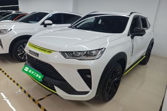 哈弗H6S 2022款 2.0T 两驱智跑版