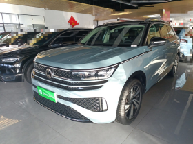 大众 揽巡 2023款 380TSI 四驱R-Line巡游版