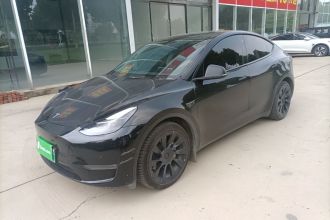 特斯拉 Model Y 2021款 标准续航后驱版