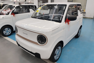 吉利银河 2024款 熊猫mini 200km 耐力熊