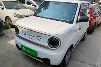 吉利银河 2024款 熊猫mini 200km 耐力熊